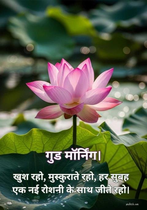 Good morning quotes in hindi with images