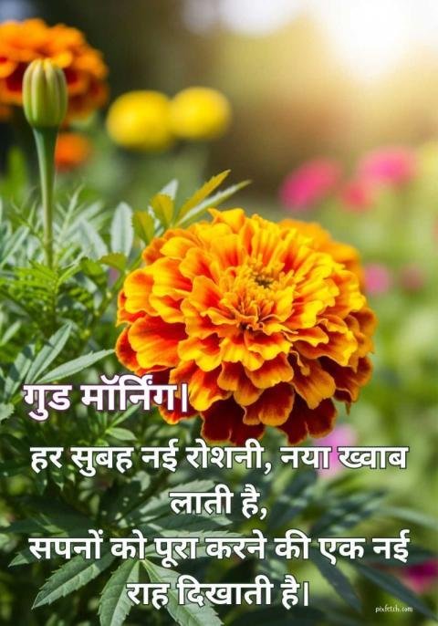 marigold flower with motivational quotes in hindi