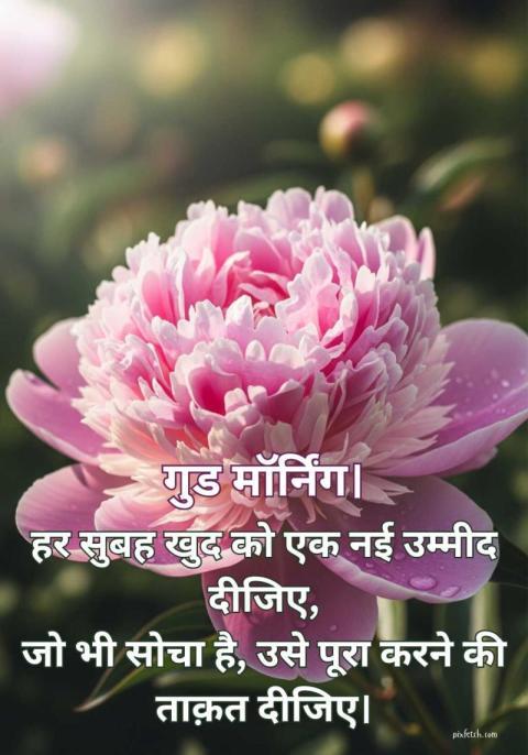 beautiful rose with good morning image in hindi