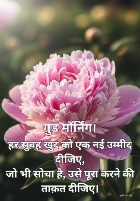 beautiful rose with good morning image in hindi