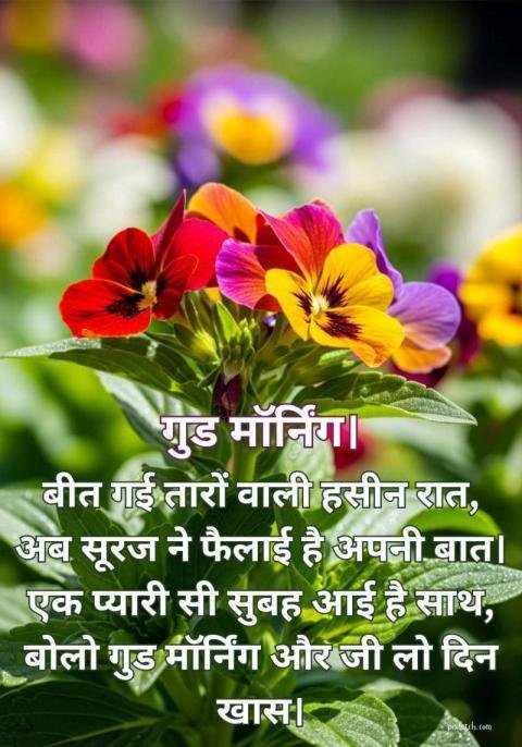 Hindi good morning quotes with beautiful flowers