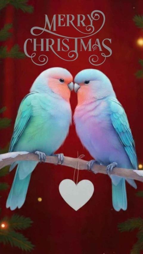 Beautiful pastel lovebirds with Merry Christmas