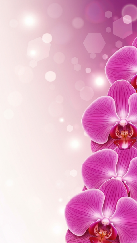 High quality android wallpaper