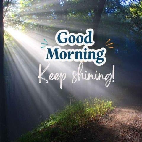 High quality digital art piece featuring a sunlit forest and good morning