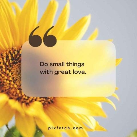 Life Motivation Images – Short Positive Quotes to Inspire You