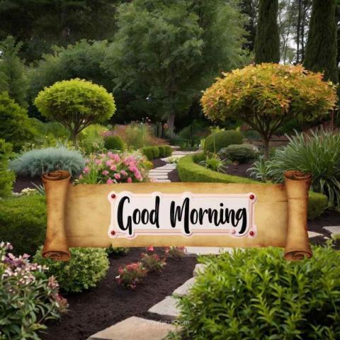 Scenery good morning images with nature