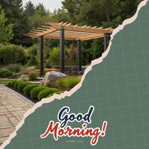 Beautiful nature good morning images