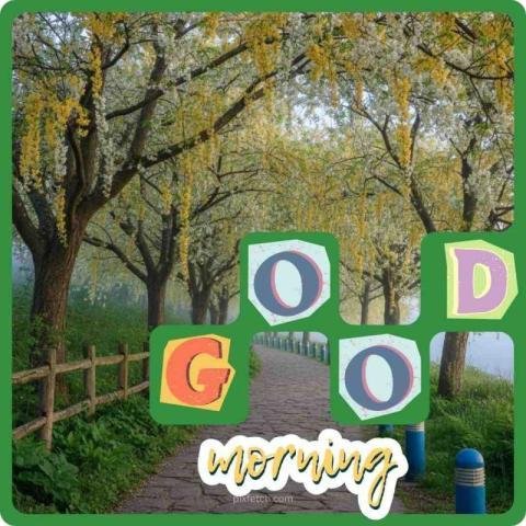 Green landscape with a pathway lined with trees and good morning