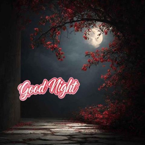 Good Night Image with Moonlight and Red Flowers