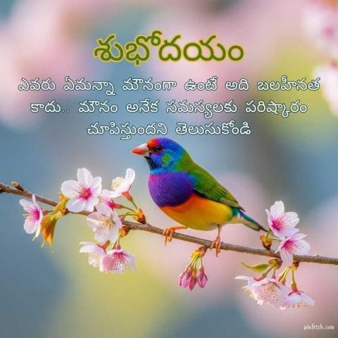 positive good morning quotes in telugu