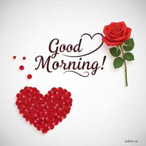 A romantic composition of good morning image