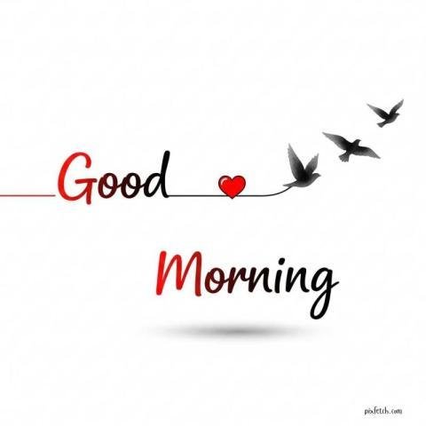 Minimalist Good Morning greeting design