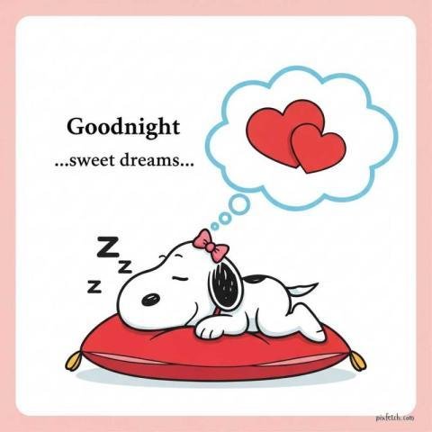 Snoopy with a soft Good night wishes