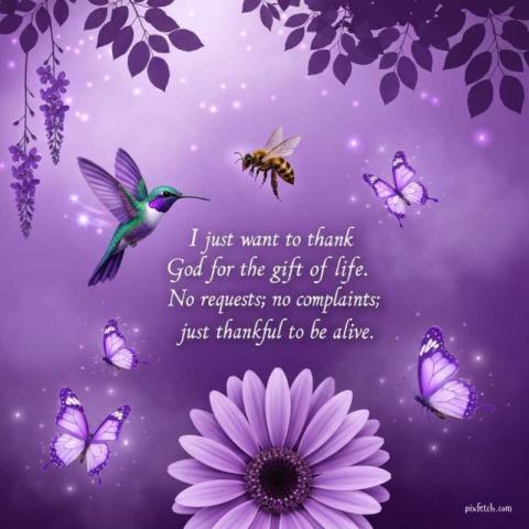 Motivational quotes wallpaper hd