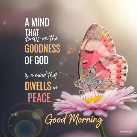 Motivational quotes wallpaper hd 4k