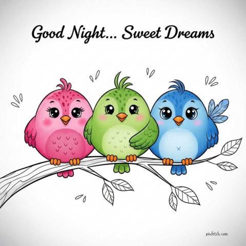 Unique good night wishes