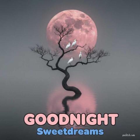 Beautiful good night photo moon