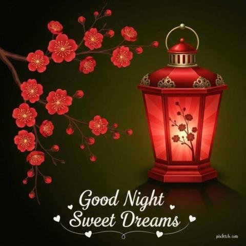 Special Good Night Images  Free Good Night Images