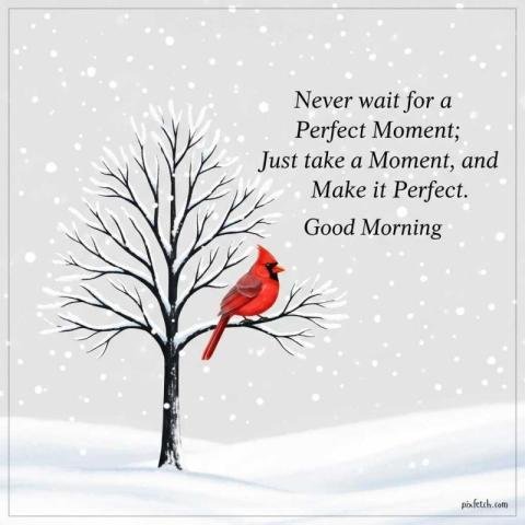 Good morning quotes for WhatsApp