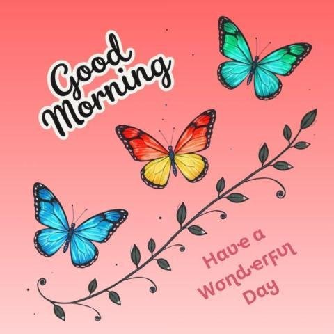 Beautiful Good Morning Images today