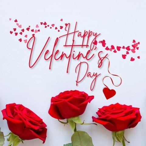 Valentines day flowers images free