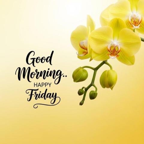 Good morning Friday images for WhatsApp