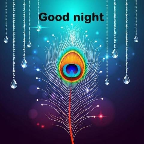 Good Night Peacock Feather WhatsApp Wishes Image with Peaceful Glow
