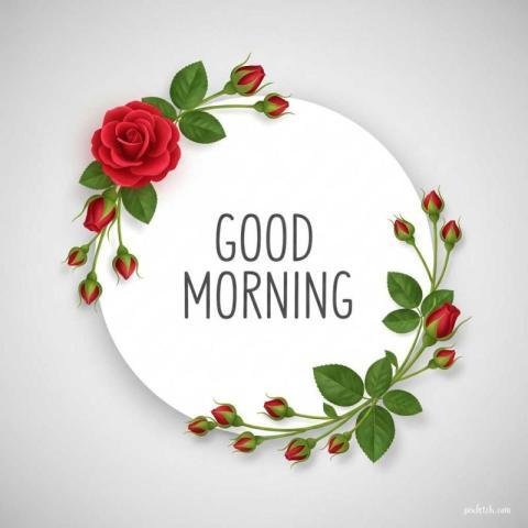 A soft, minimalistic Good Morning greeting image