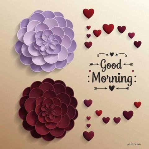 A soft, elegant Good Morning greeting