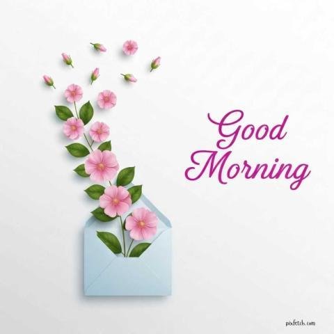 A bright, elegant greeting card style composition of good morning wishes