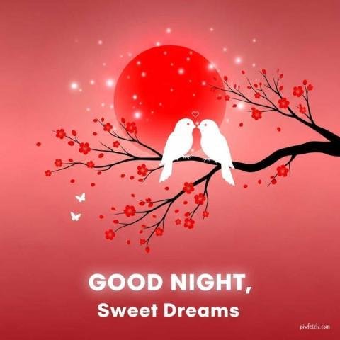 Romantic digital artwork of special good night images for whatsapp