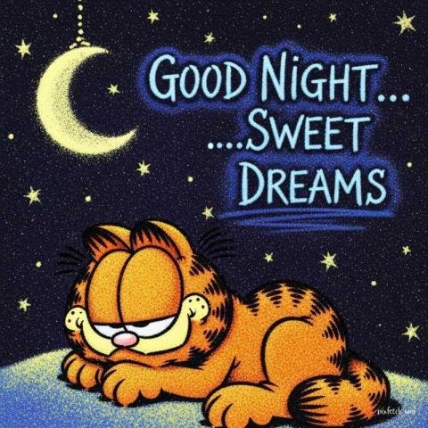 Garfield cartoon  with good night wishes for whatsapp