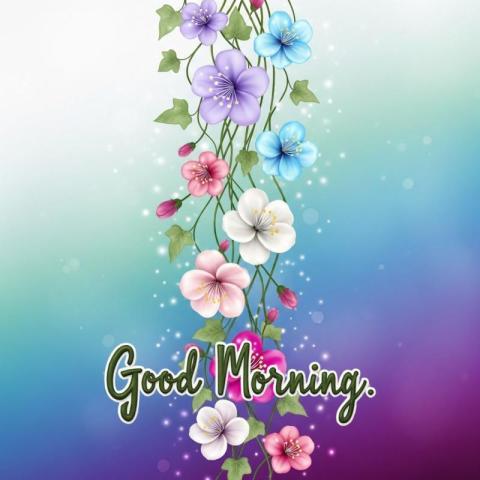 Beautiful good morning flowers pictures for WhatsApp