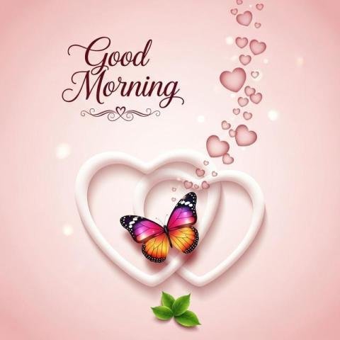 Good morning butterfly love