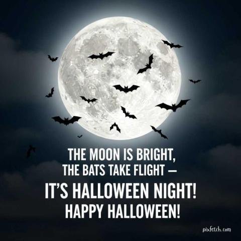 Happy Halloween moon images free download
