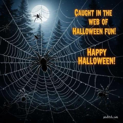 Happy Halloween spider images free download