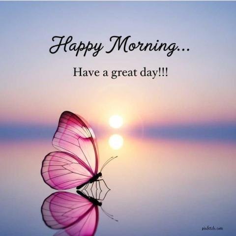 A dreamy Good morning scene with a delicate pink translucent butterfly