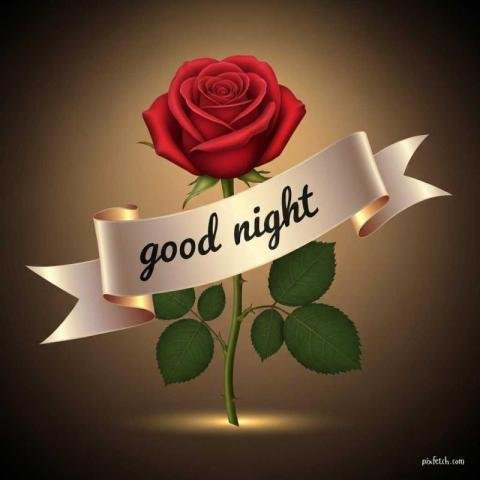 New Good Night Images, Pictures & Photos