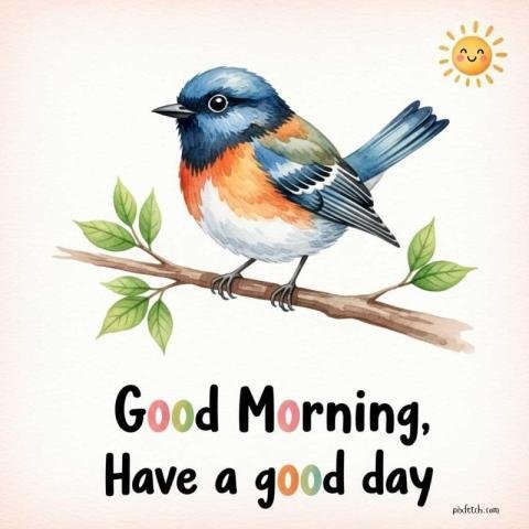 Good morning images for WhatsApp