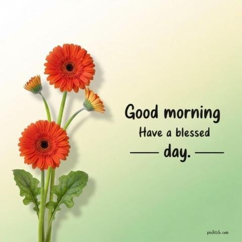 Good morning images with flowers
