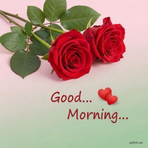 Beautiful good morning images for WhatsApp