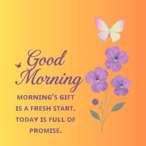 Good morning flowers pictures for WhatsApp